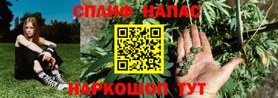 твердый Камышлов