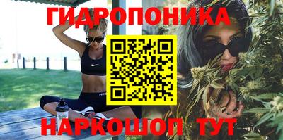 твердый Камышлов